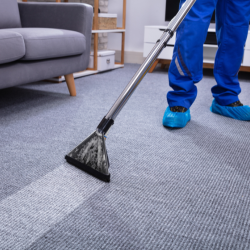 Carpet Cleaning - Harrier Cleaning, Brentwood, Essex